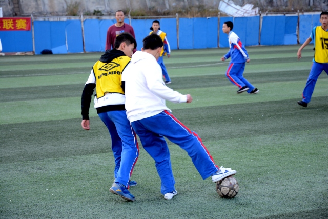 中国马术协会第十一届会员代表大会在京召开